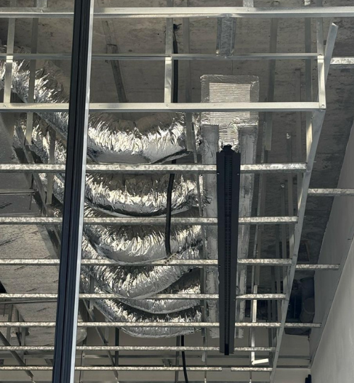 Untitled design (41)